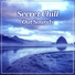 Chill Lounge Music System
