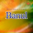 Rasool Baksh Pinjgori