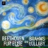 Beethoven Relaxing Orchestra