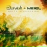 Darwish & Migel