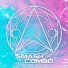 Smash Hit Combo