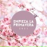 Fiesta de la Primavera