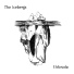 The Icebergs