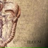 iLEUM