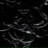 Gaiser
