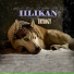 IILIKAN