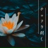 第三の目