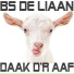 BS De Liaan