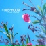 Dr. Deep House