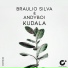 Braulio Silva, Andyboi