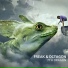 Freak & Octagon