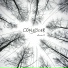 Coalescer