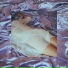 Kimberley Tell