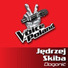 Jędrzej Skiba
