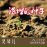 吴琴儿