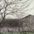 Bruno Masi