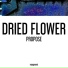 Dried Flower