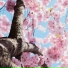 Music to Relax in Free Time, Sleep Tight, Massage