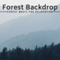 Forest Backdrop