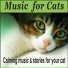 Robbins Island Music Artists