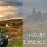 Nature Sounds