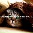Kally Cat Fiores