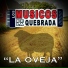 Los Musicos de La Quebrada