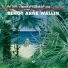 Bengt-Arne Wallin, The Bengt-Arne Wallin Orchestra