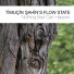 Timuçin Şahin's Flow State
