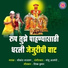Shrikant Narayan