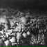 Skulls