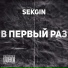 Sekgin