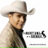 EL MUSTANG DE LA SIERRA