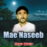 Ubaid Wahid