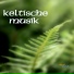 Keltische Musik Band