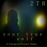 27b