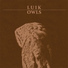 Luik