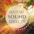 Butterfly Sound Effect