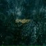 Skillet