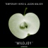 Temporary Hero, Jason Walker