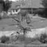 ELDOS