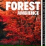 Forest Tapestry