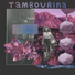 Tambourina