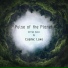 Cosmic Love (sample)
