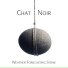 Chat Noir