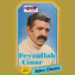 Feyzullah Çınar