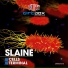 Slaine