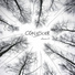 Coalescer
