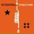 Joe Strummer, The Mescaleros