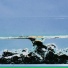 Insiden